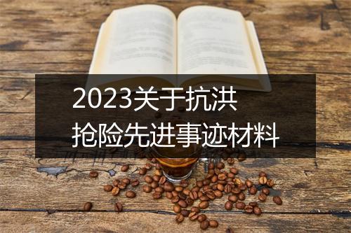 2023关于抗洪抢险先进事迹材料