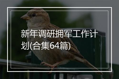 新年调研拥军工作计划(合集64篇)