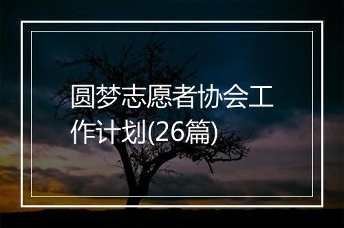 圆梦志愿者协会工作计划(26篇)
