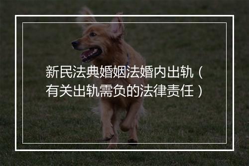 新民法典婚姻法婚内出轨（有关出轨需负的法律责任）