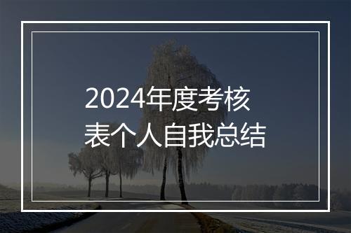 2024年度考核表个人自我总结