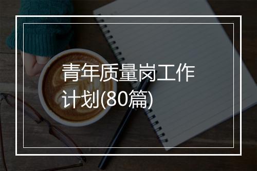 青年质量岗工作计划(80篇)
