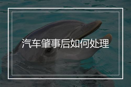 汽车肇事后如何处理