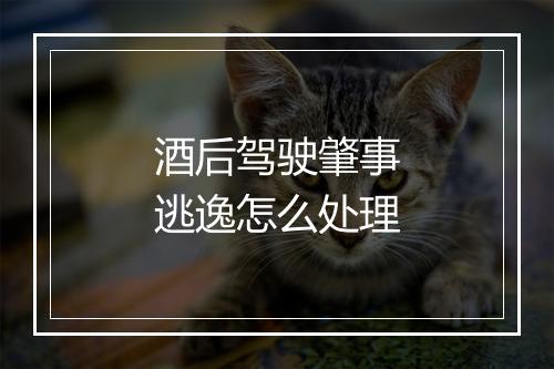 酒后驾驶肇事逃逸怎么处理