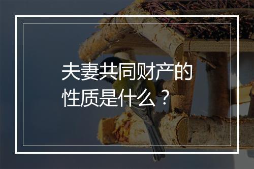 夫妻共同财产的性质是什么？
