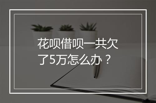 花呗借呗一共欠了5万怎么办？