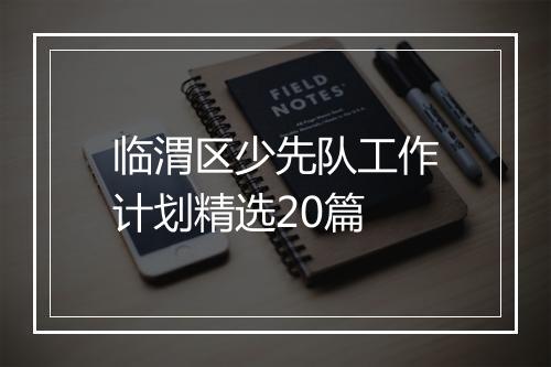 临渭区少先队工作计划精选20篇