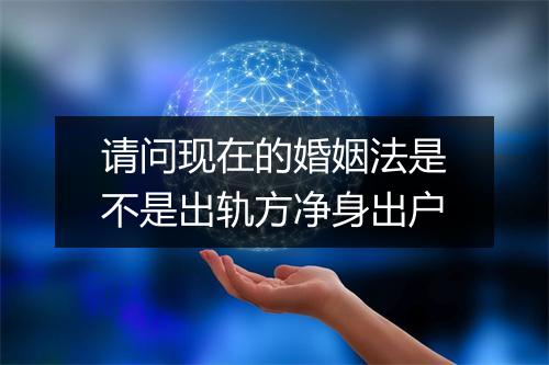 请问现在的婚姻法是不是出轨方净身出户