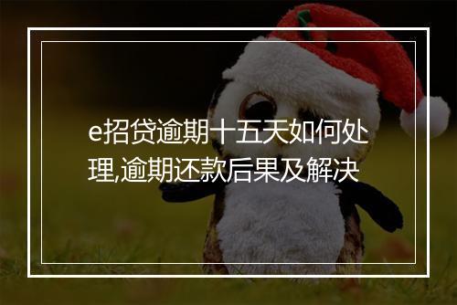 e招贷逾期十五天如何处理,逾期还款后果及解决