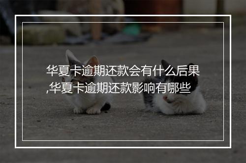 华夏卡逾期还款会有什么后果,华夏卡逾期还款影响有哪些
