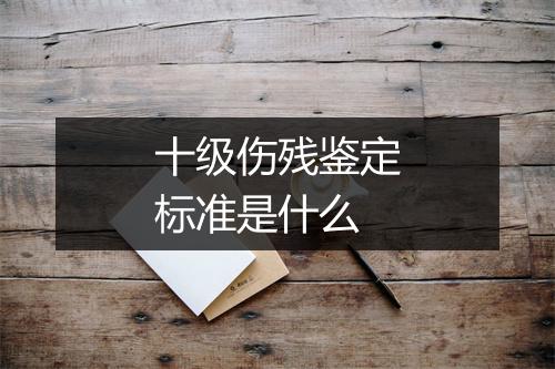 十级伤残鉴定标准是什么