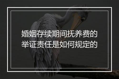 婚姻存续期间抚养费的举证责任是如何规定的