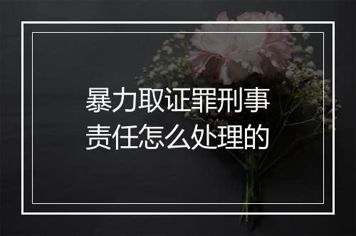 暴力取证罪刑事责任怎么处理的