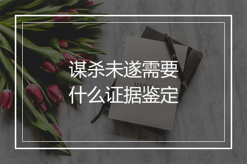 谋杀未遂需要什么证据鉴定