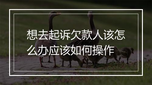 想去起诉欠款人该怎么办应该如何操作