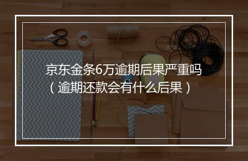 京东金条6万逾期后果严重吗（逾期还款会有什么后果）