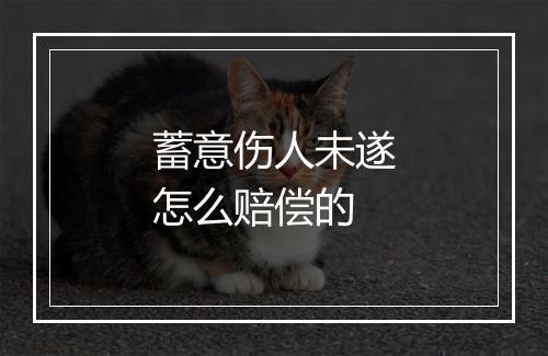 蓄意伤人未遂怎么赔偿的