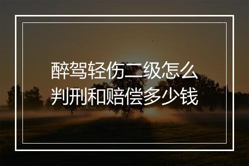醉驾轻伤二级怎么判刑和赔偿多少钱