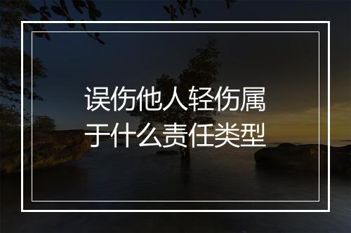 误伤他人轻伤属于什么责任类型
