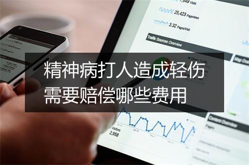 精神病打人造成轻伤需要赔偿哪些费用