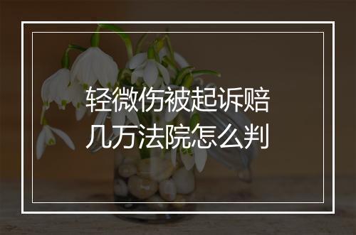 轻微伤被起诉赔几万法院怎么判