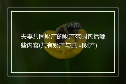 夫妻共同财产的财产范围包括哪些内容(共有财产与共同财产)