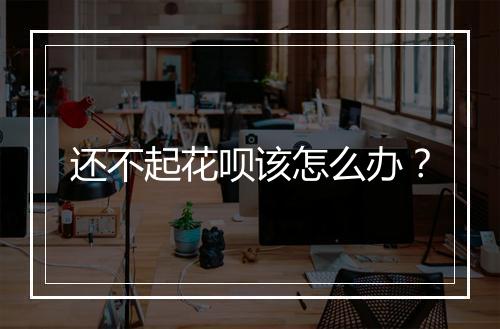 还不起花呗该怎么办？
