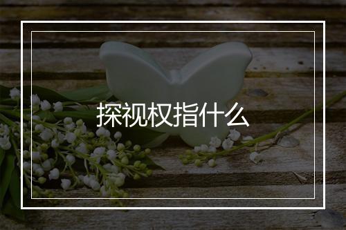 探视权指什么