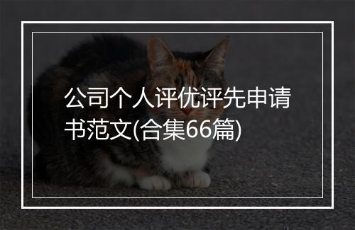 公司个人评优评先申请书范文(合集66篇)