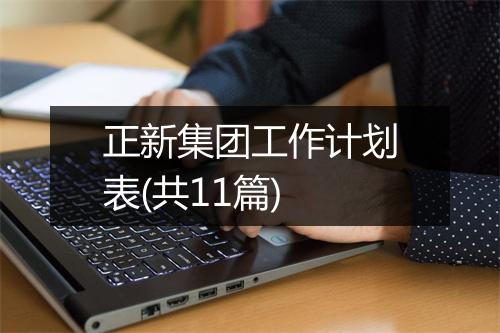 正新集团工作计划表(共11篇)