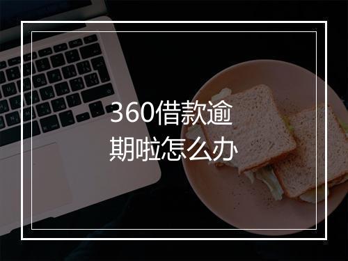 360借款逾期啦怎么办