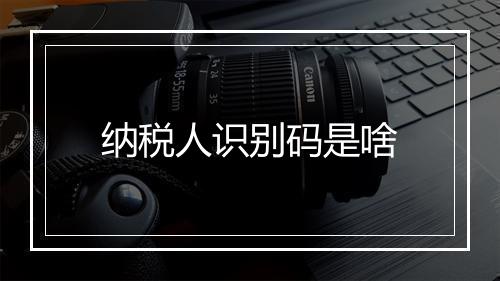 纳税人识别码是啥