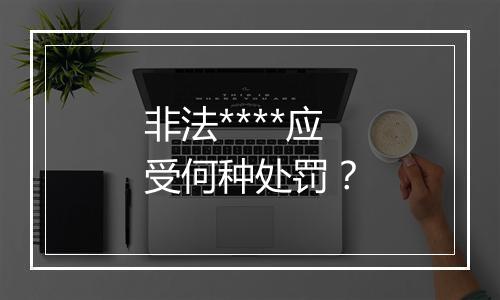 非法****应受何种处罚？