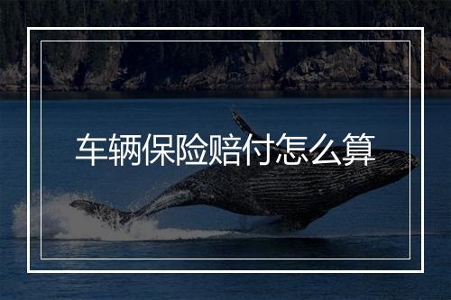 车辆保险赔付怎么算