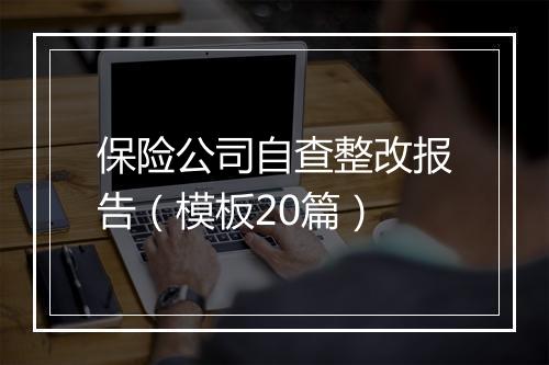 保险公司自查整改报告（模板20篇）