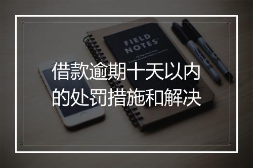 借款逾期十天以内的处罚措施和解决