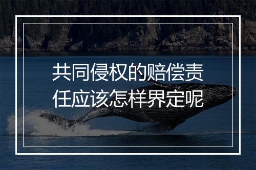 共同侵权的赔偿责任应该怎样界定呢