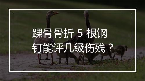 踝骨骨折 5 根钢钉能评几级伤残？