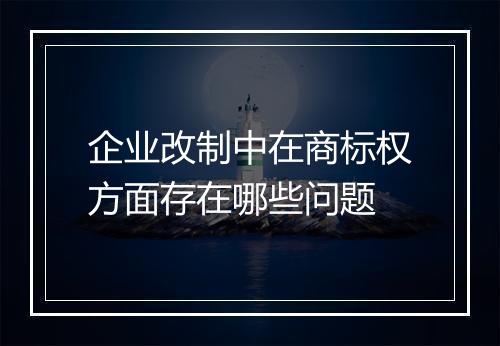 企业改制中在商标权方面存在哪些问题