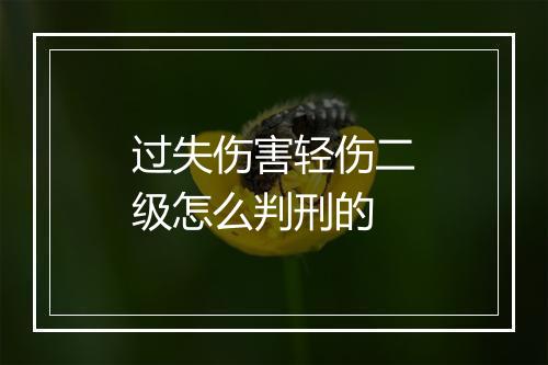 过失伤害轻伤二级怎么判刑的
