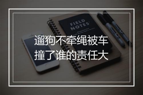 遛狗不牵绳被车撞了谁的责任大