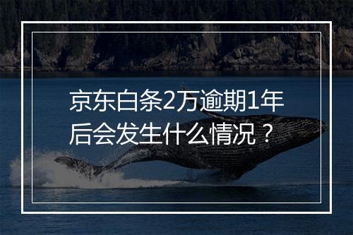 京东白条2万逾期1年后会发生什么情况？