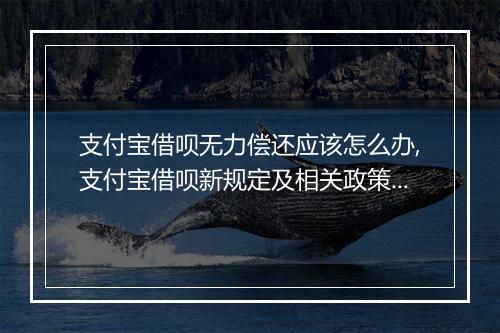 支付宝借呗无力偿还应该怎么办,支付宝借呗新规定及相关政策解读