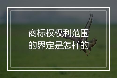 商标权权利范围的界定是怎样的