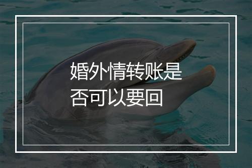 婚外情转账是否可以要回