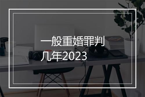 一般重婚罪判几年2023