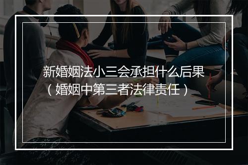 新婚姻法小三会承担什么后果（婚姻中第三者法律责任）