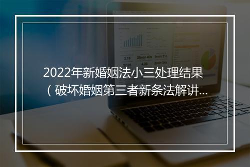 2022年新婚姻法小三处理结果（破坏婚姻第三者新条法解讲）