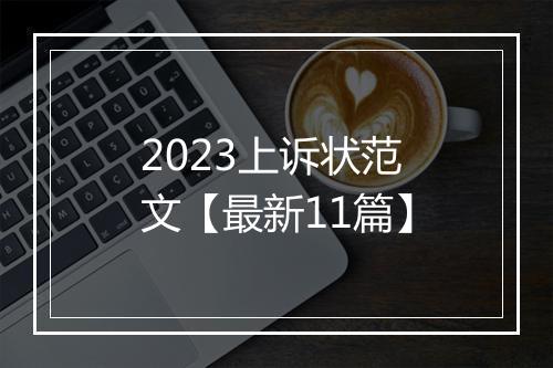 2023上诉状范文【最新11篇】