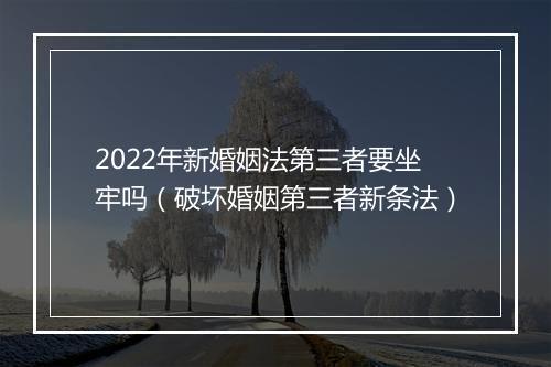 2022年新婚姻法第三者要坐牢吗（破坏婚姻第三者新条法）
